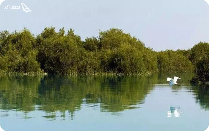 طبیعت خلیج گواتر چابهار