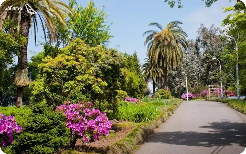 باغ گیاه شناسی باتومی