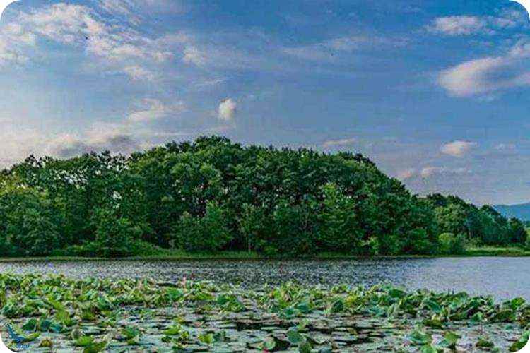 آدرس تالاب سوستان