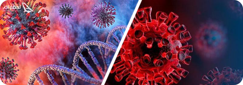 کرونا لامبادا