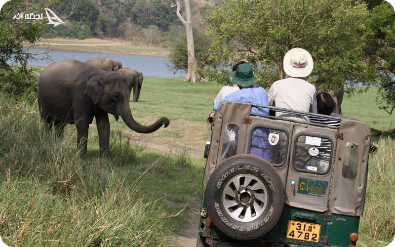 سافاری ویلیج دبی