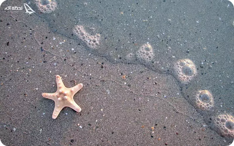 تجهیزات مورد نیاز در سفر به ساحل نقرهای