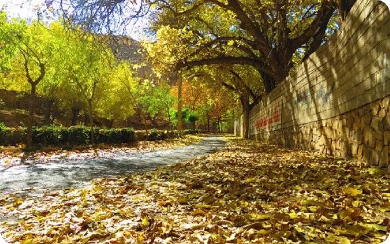 سوغات شهمیرزاد