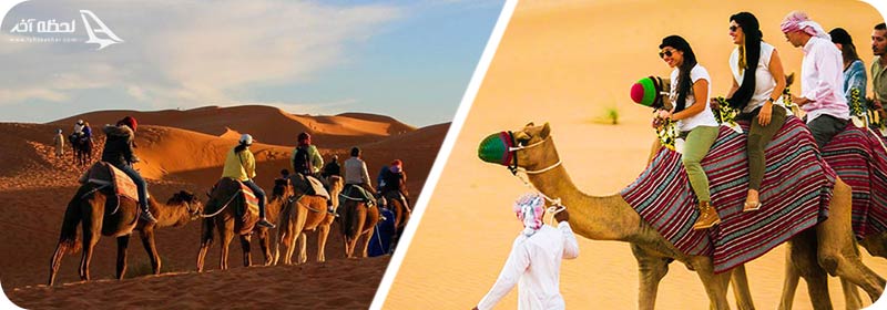 شترسواری در دبی