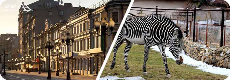 خیابان آربات/باغ وحش مسکو