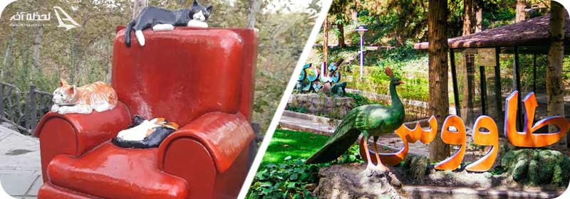 تصاویر پارک ساعی