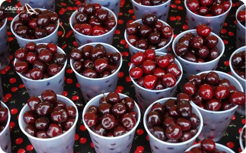 ‌فستیوال گیلاس