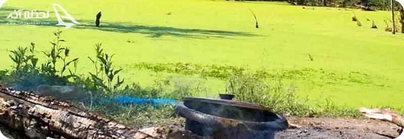 آشنایی با مرداب دیوک