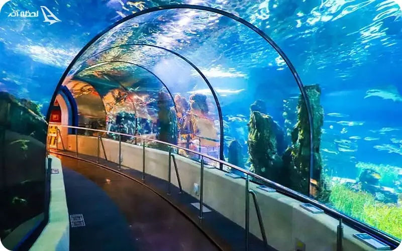 هزینه خوراک در کیش