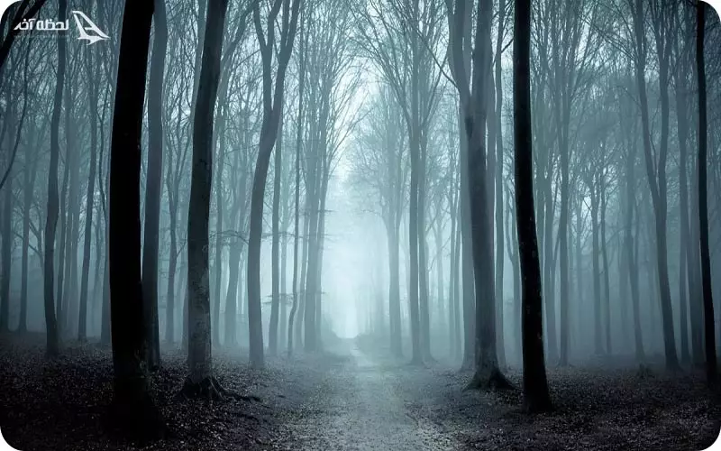 جنگل جیغ مشهد