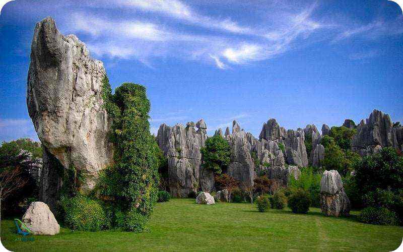 جنگل های ژاپن