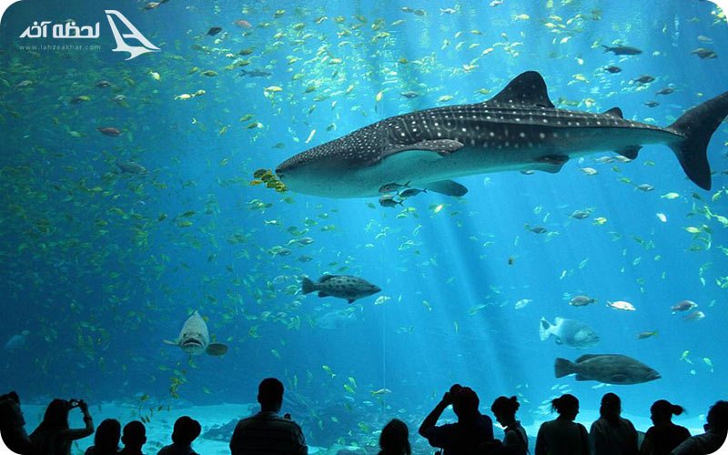 آکواریوم جزیره کیش