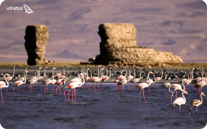 منطقه حفاظت شده پارک ملی ارومیه