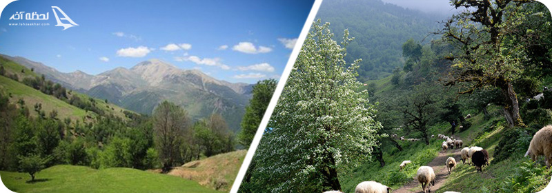 قله شاه معلم