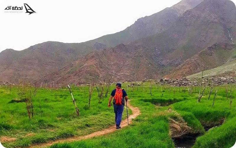 دشت هویج در تهران