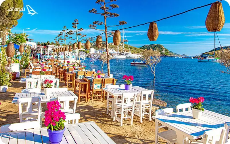 غذاهای کوش آداسی