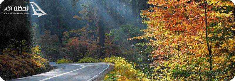 مسیر جنگل توسکستان در فصل پاییز