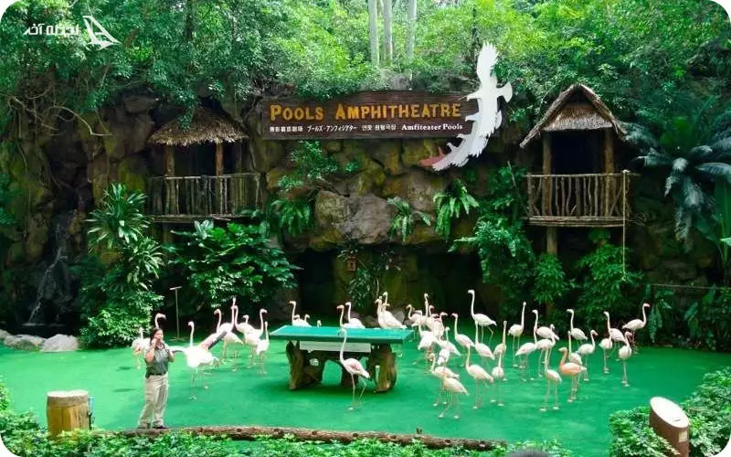 مرکز تحقیقاتی باغ پرندگان سنگاپور