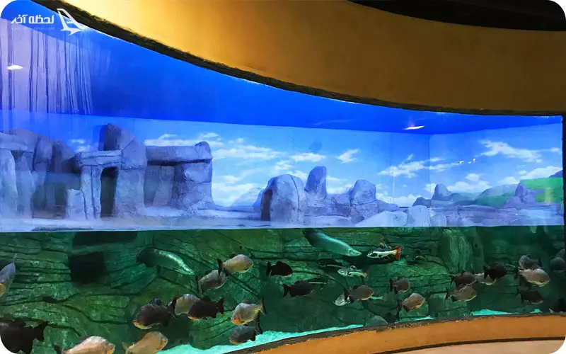 قیمت بلیط آکواریم انزلی