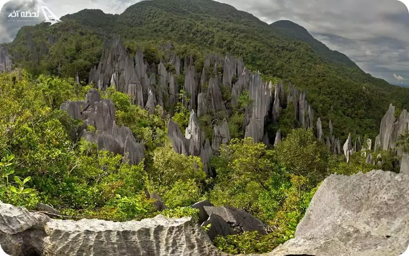 پارک ملی گونونگ