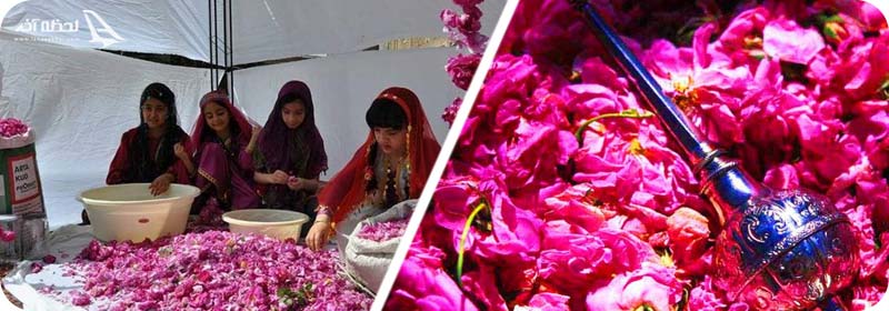 گلاب گیری کاشان