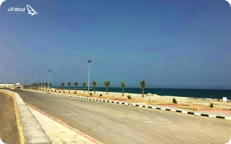 کمپ پارک سوزا