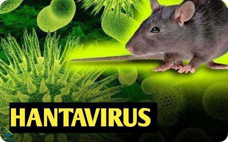 هانتا ویروس