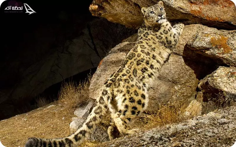 پارک سیاه کوه