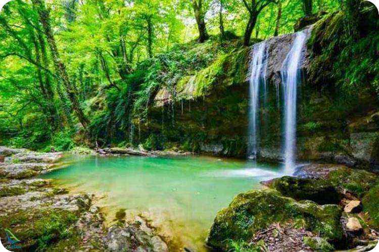 جنگل لفور در مازندران