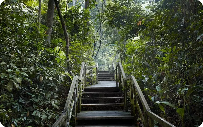 پارک ملی جوهور