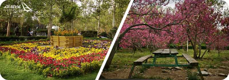 تصاویر پارک لاله تهران