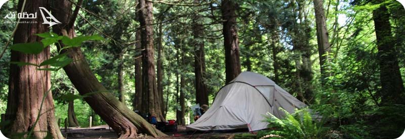 جنگل ناهار خوران گلستان