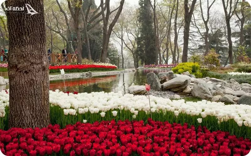 پارک امیرگان