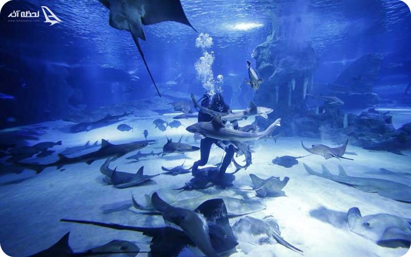 ساعت کار و قیمت بلیط آکواریوم آنتالیا