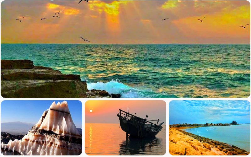 استان بوشهر