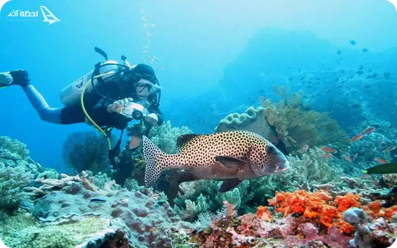 غواصی در بالی