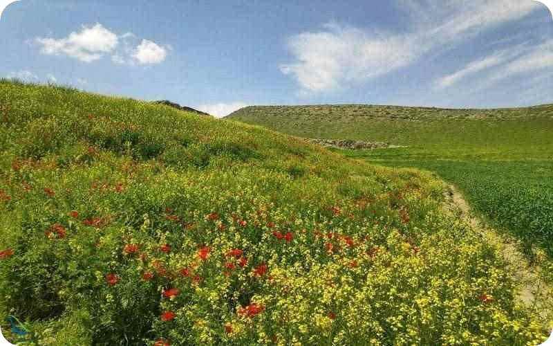 جاهای تفریحی مشهد