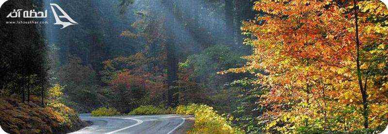 جنگل توسکستان در فصل پاییز