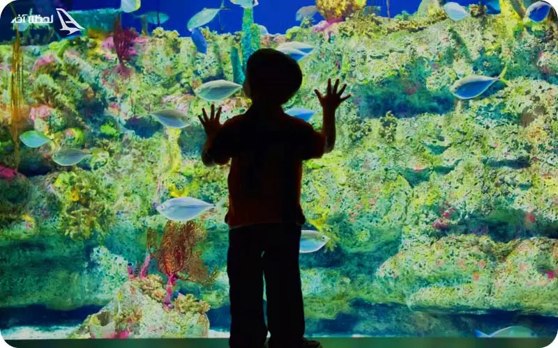 فروشگاه هدایای آکواریوم اصفهان