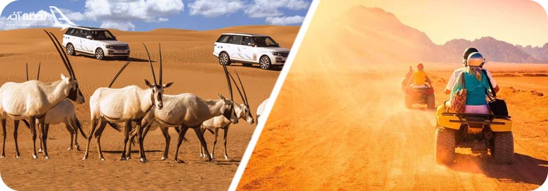 انواع تفریحات سافاری دبی