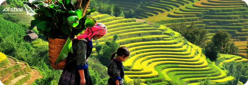 کشور ویتنام