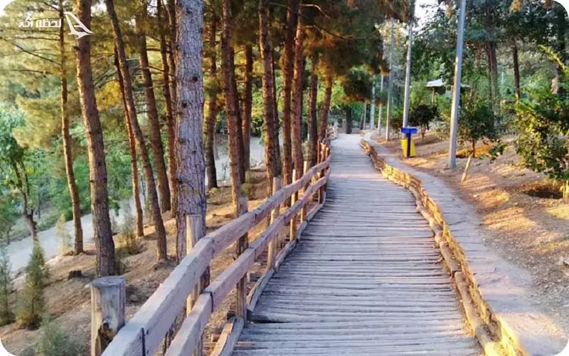 ‌پارک طالقانی تهران