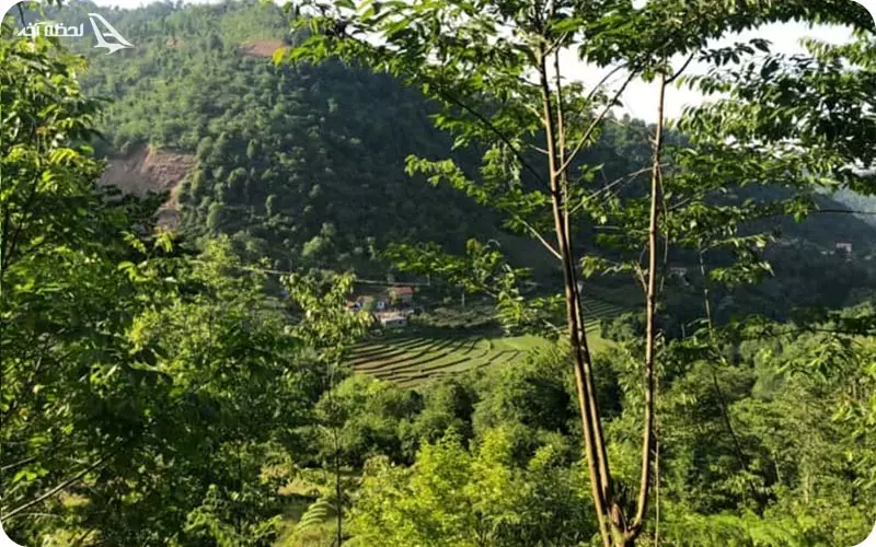 زیبایی آبشار زمرد