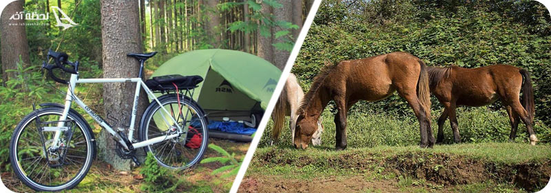 دوچرخه و اسب سواری در جنگل های گیسوم
