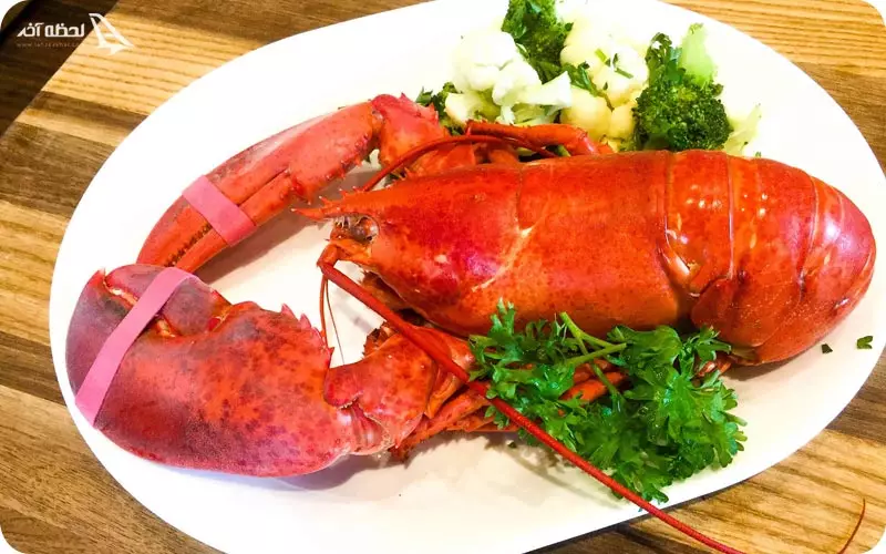 رستوران توران فیش یا ماهی