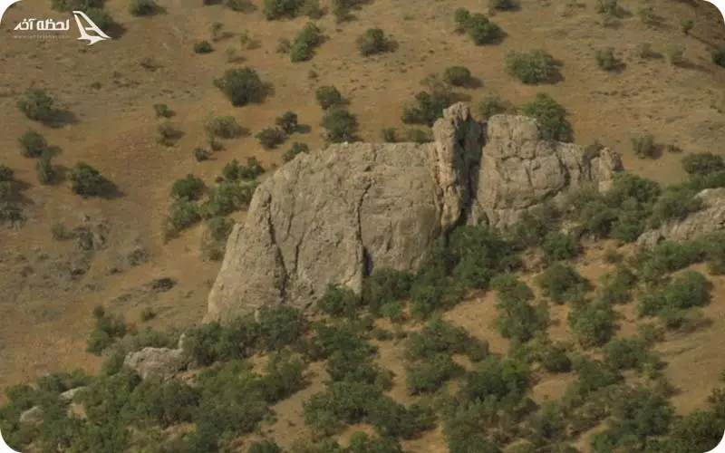 فیل سنگی لاویج