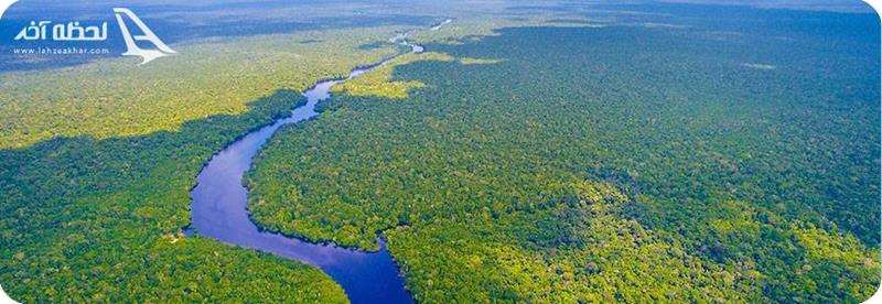 جنگل های آمازون