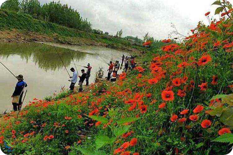 ماهی گیری در تالاب سیاه درویشان