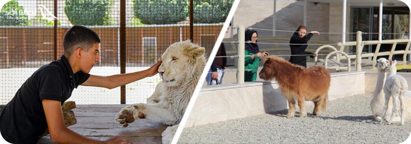 باغ وحش صفا دشت