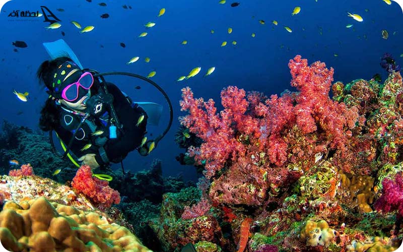 غواصی زیر آب